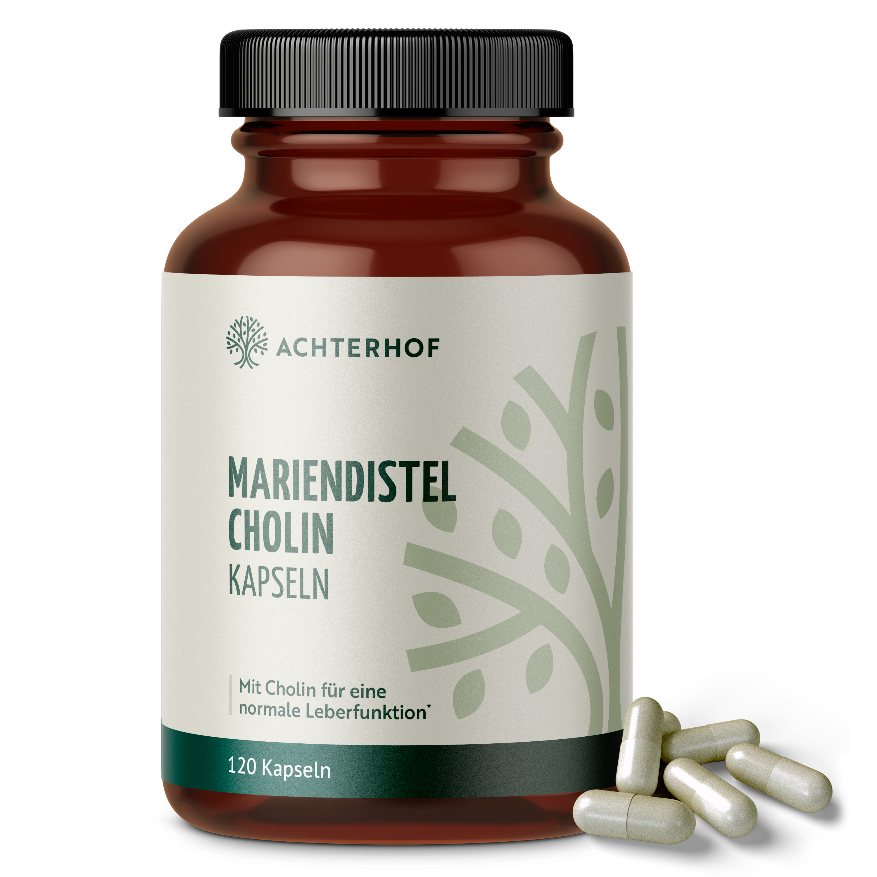 Mariendistel Cholin Kapseln (120 Kapseln)