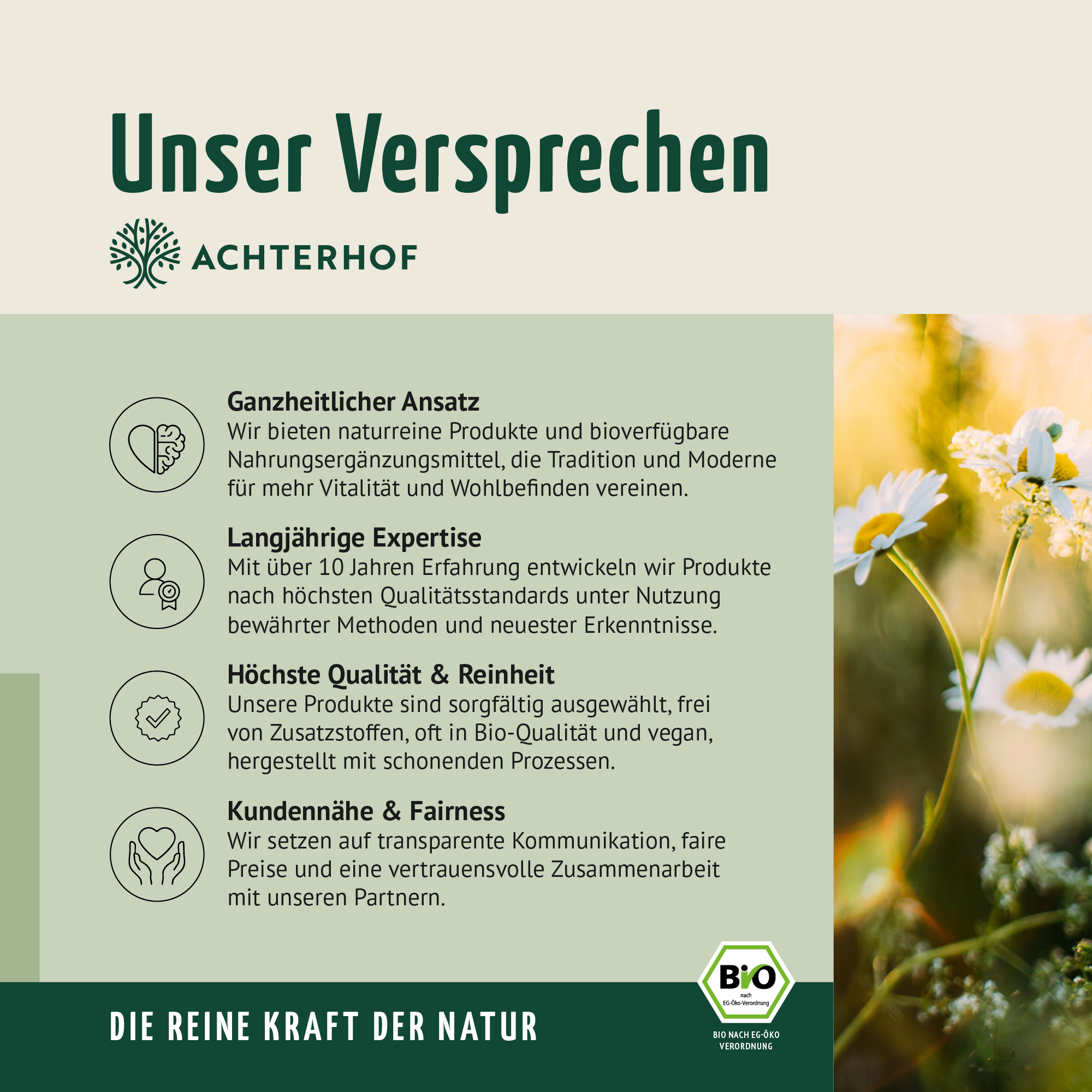 Bio Shatavari Kapseln Nachfüllpack (400 Kapseln)