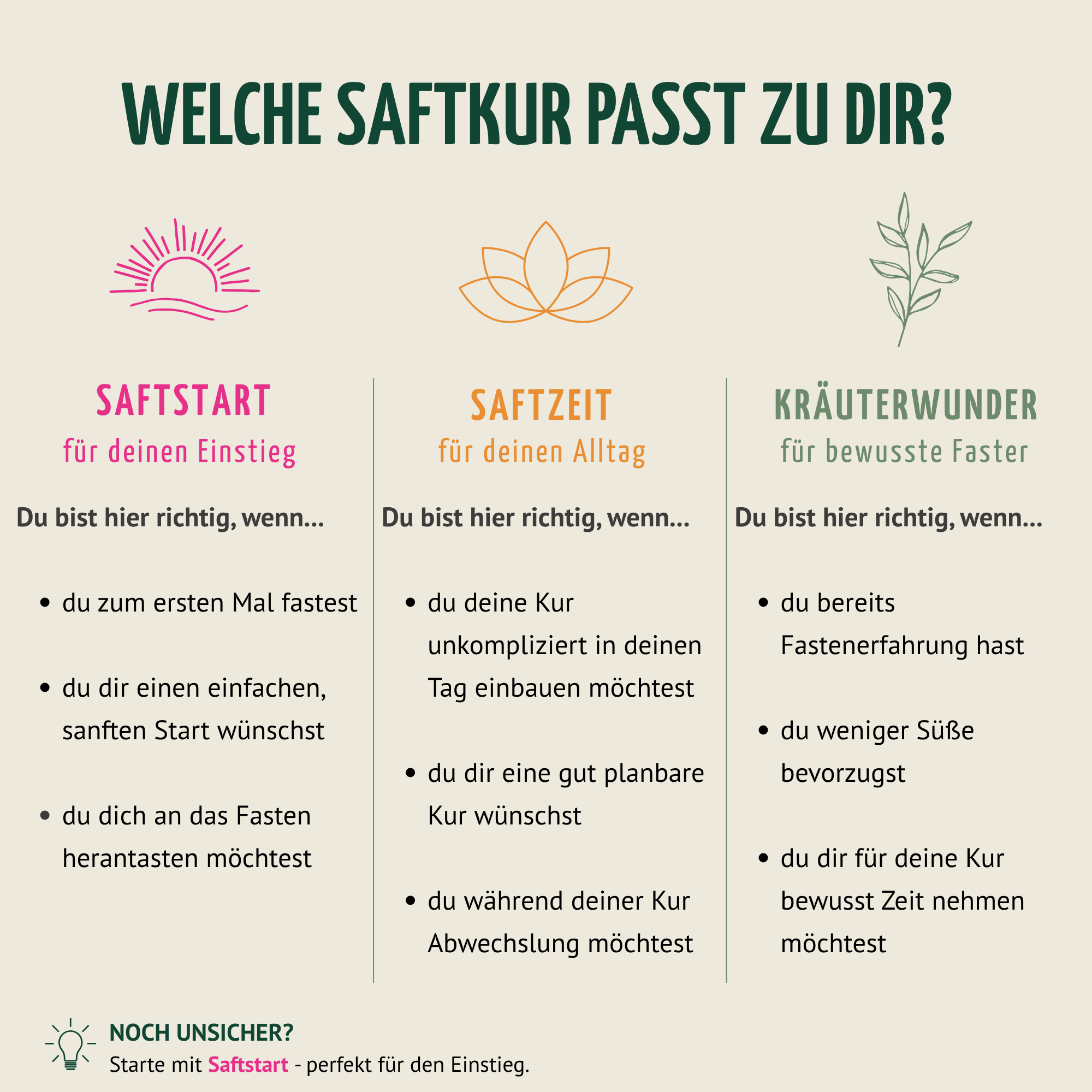 Saftzeit Bio Fastenkur 7 Tage (42 Flaschen)