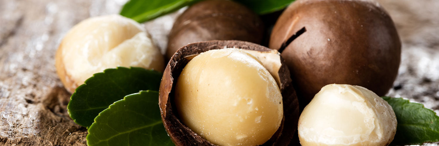 Macadamia1500