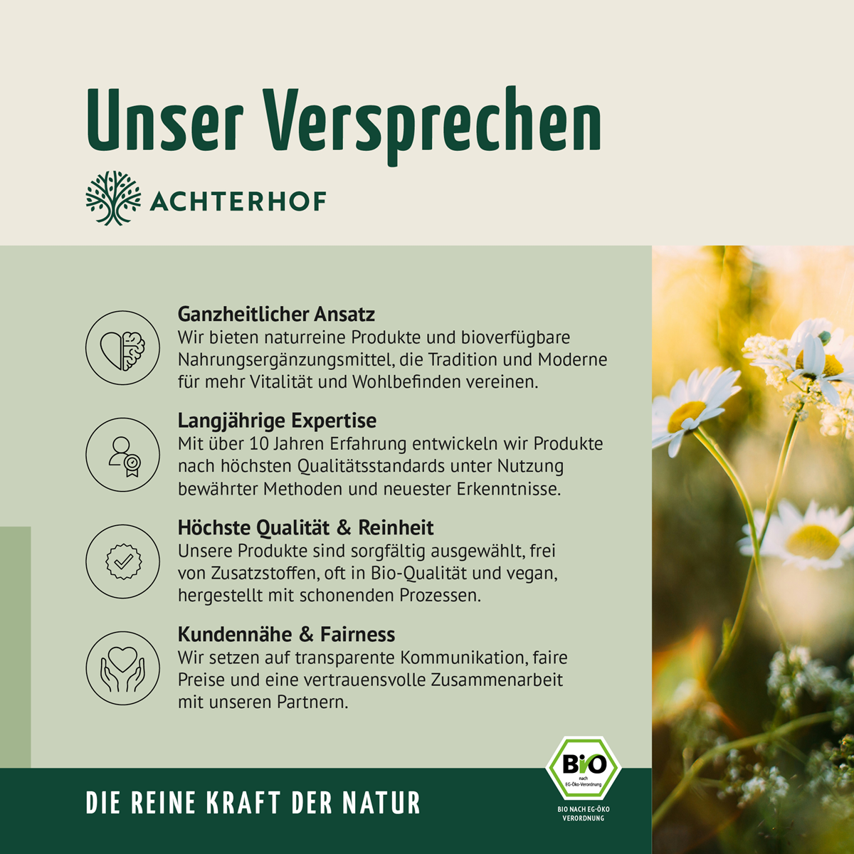Bio Cassis Fruchtpulver (250g)