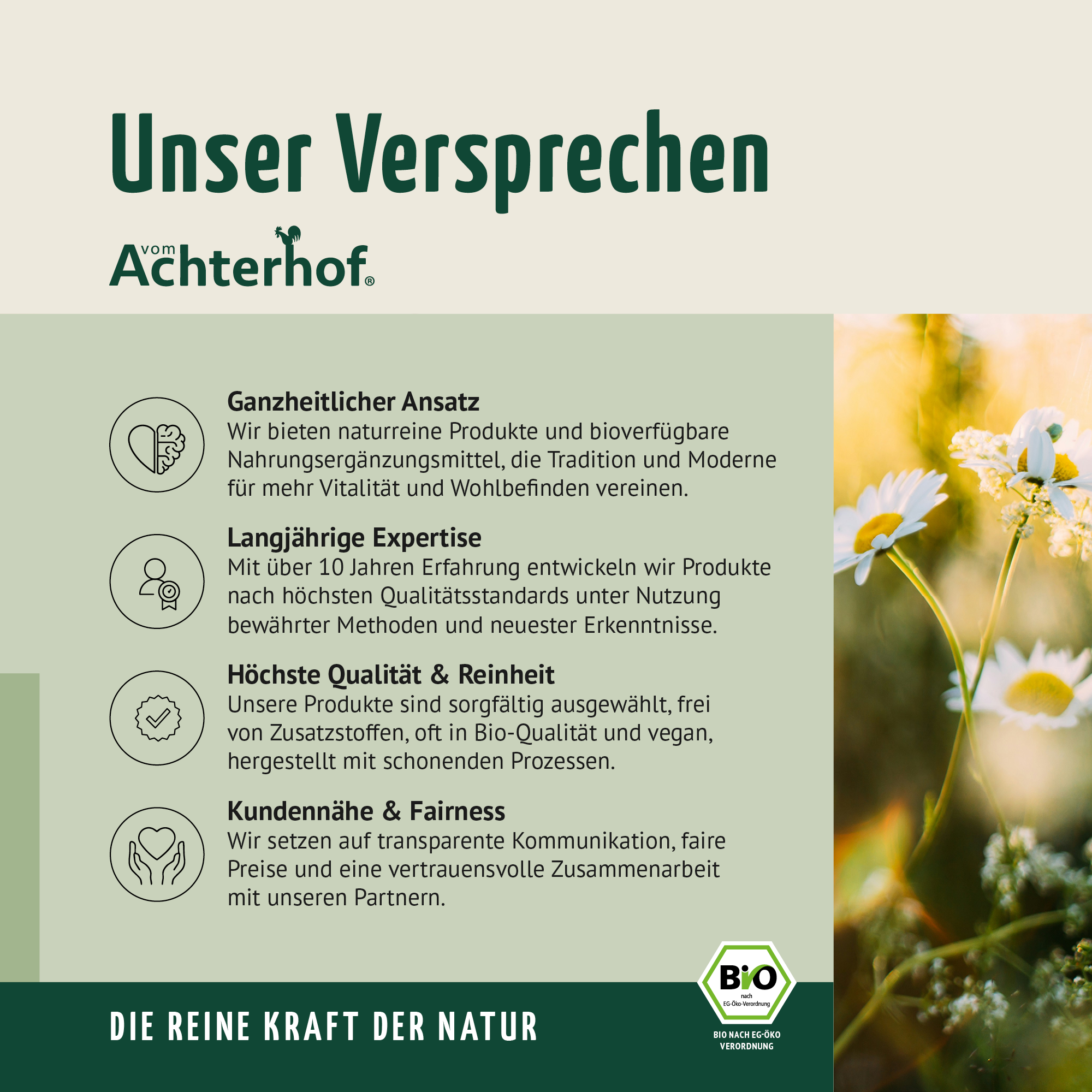 Bio Hagebutten Pulver (50g)