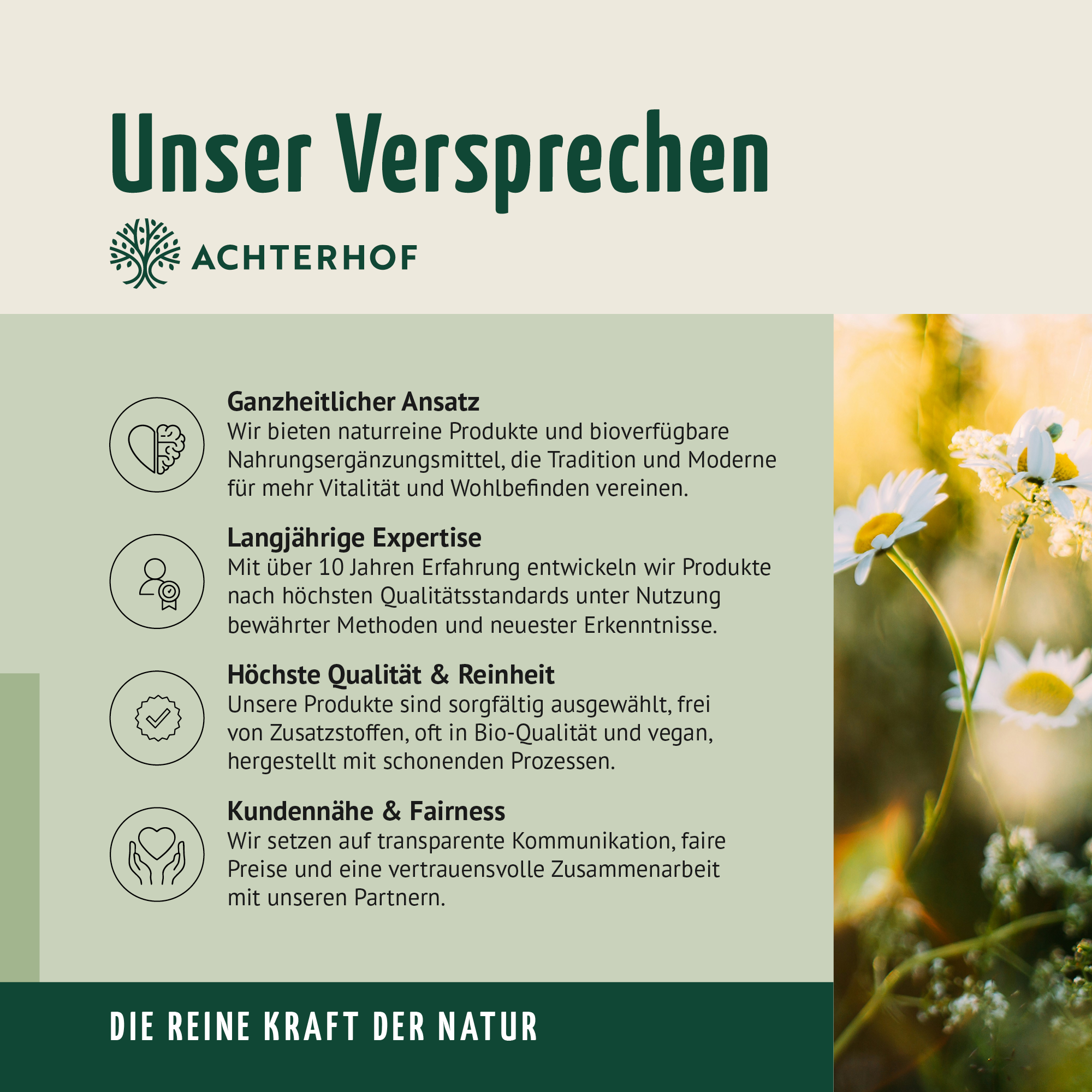 Kulturen Komplex (150 Kapseln)