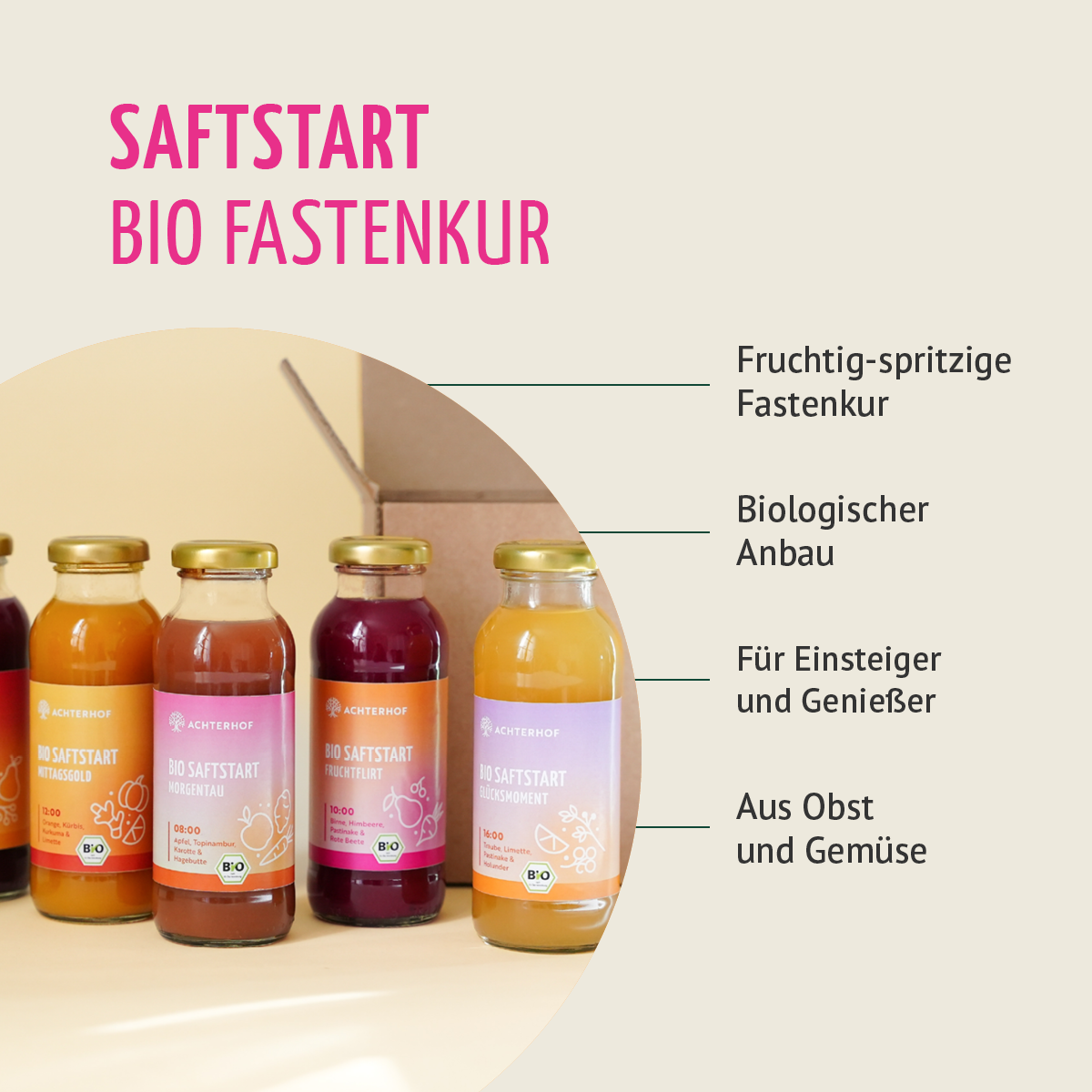 Saftstart Bio Fastenkur 5 Tage (30 Flaschen)