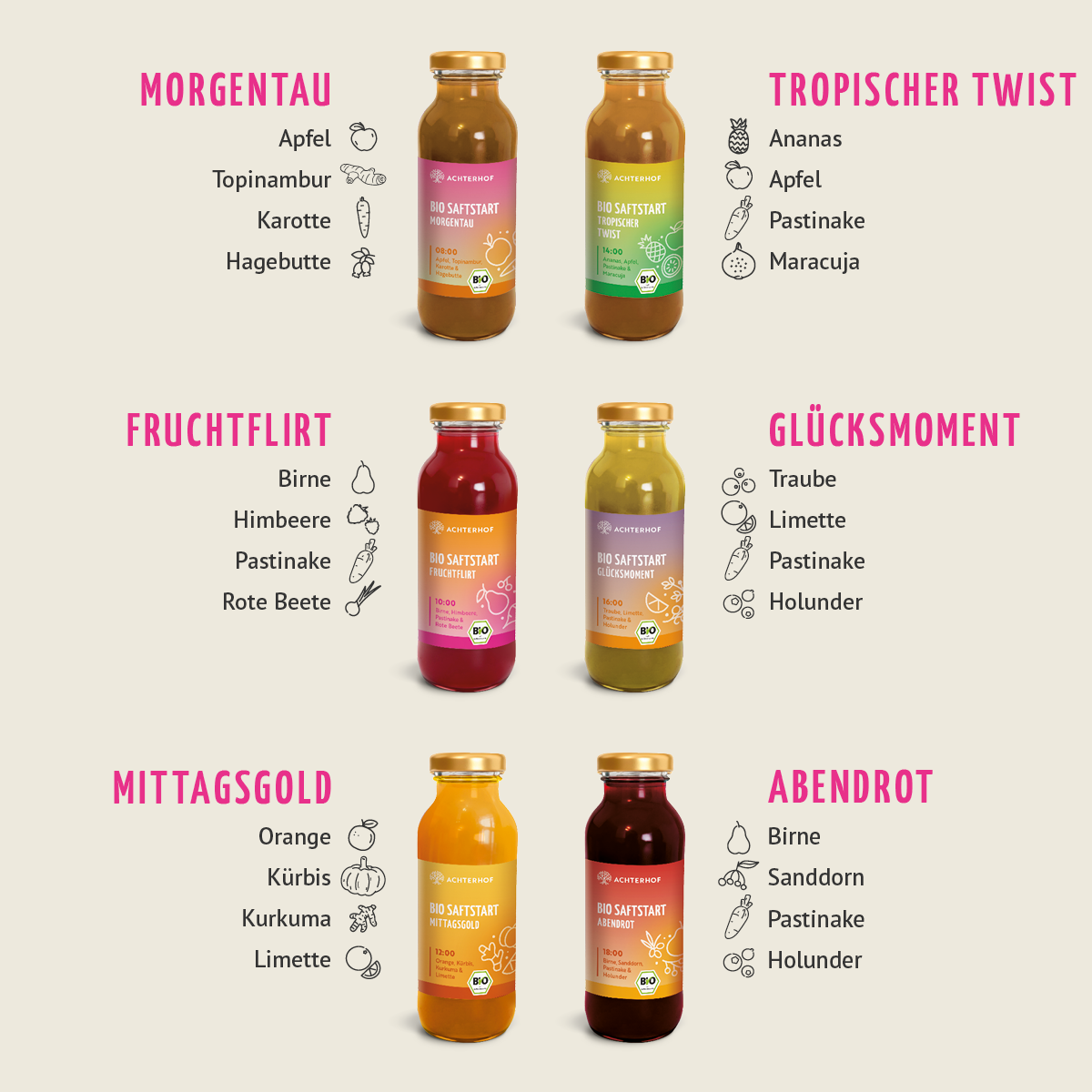 Saftstart Bio Fastenkur 3 Tage (18 Flaschen)