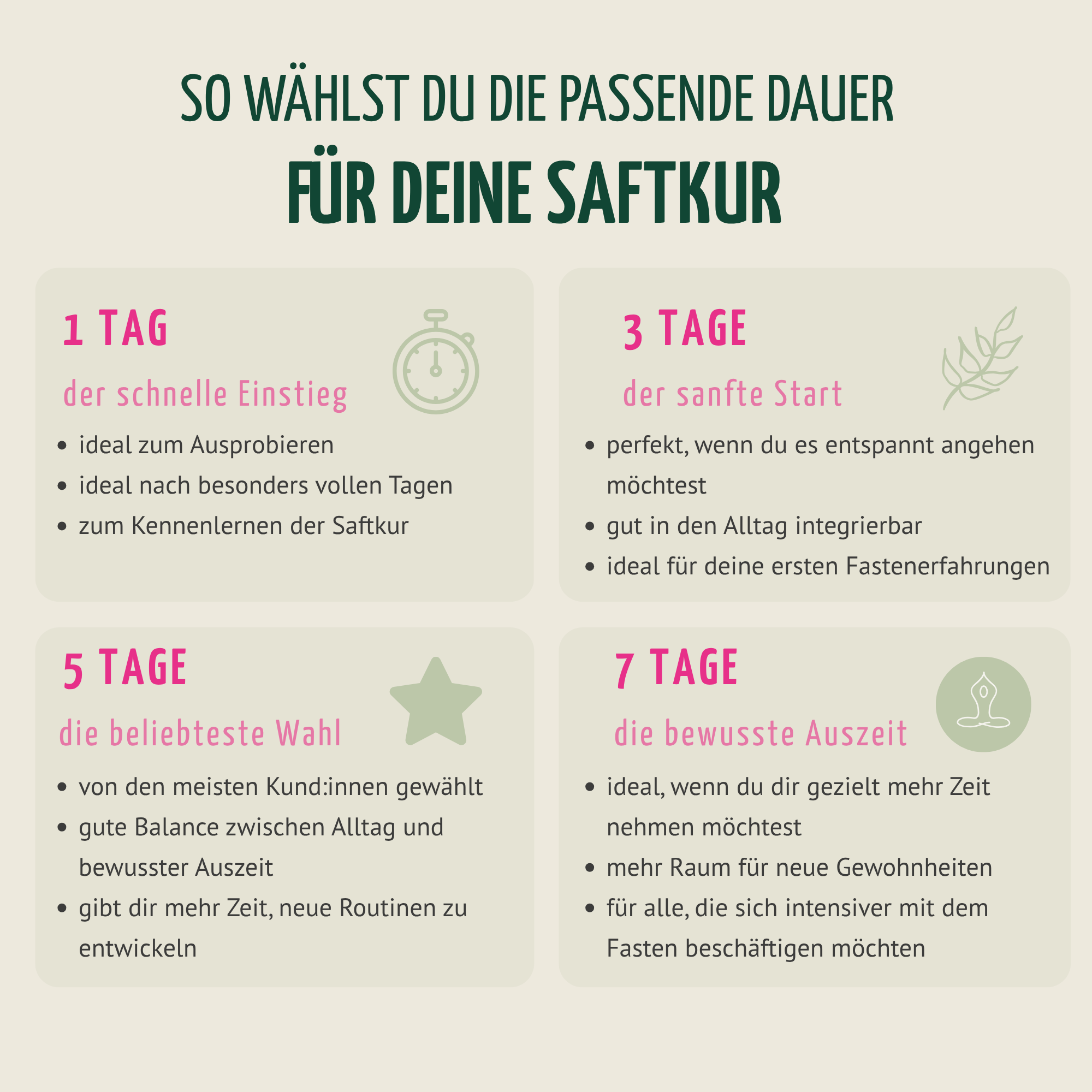 Saftstart Bio Fastenkur 5 Tage (30 Flaschen)